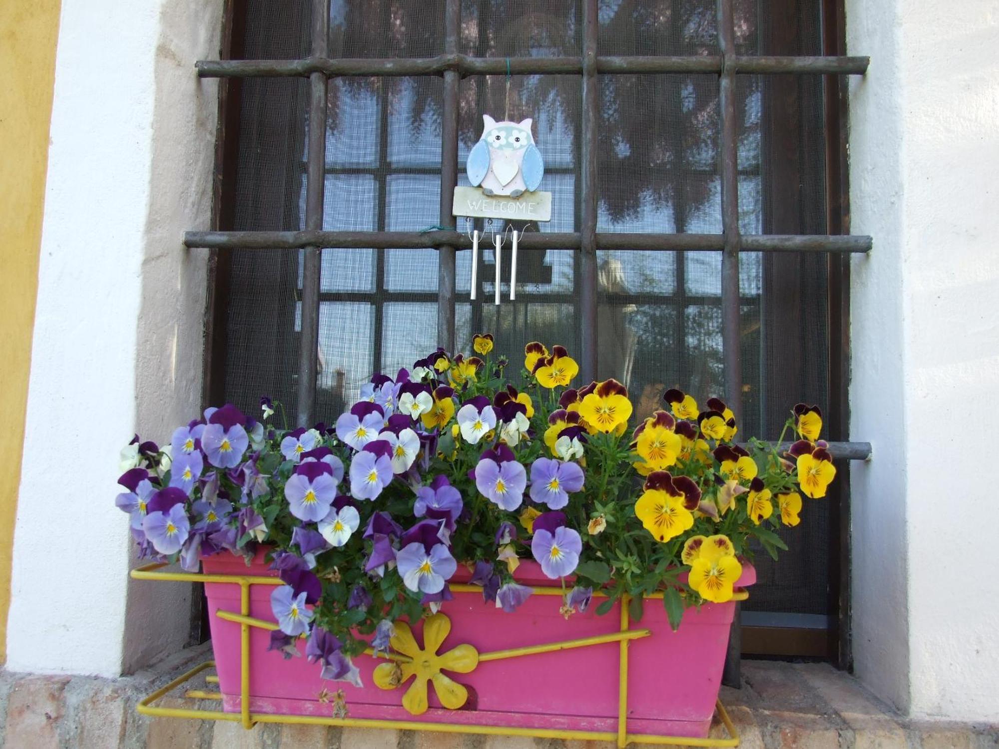 B&B Casacasina Monzambano Exteriér fotografie