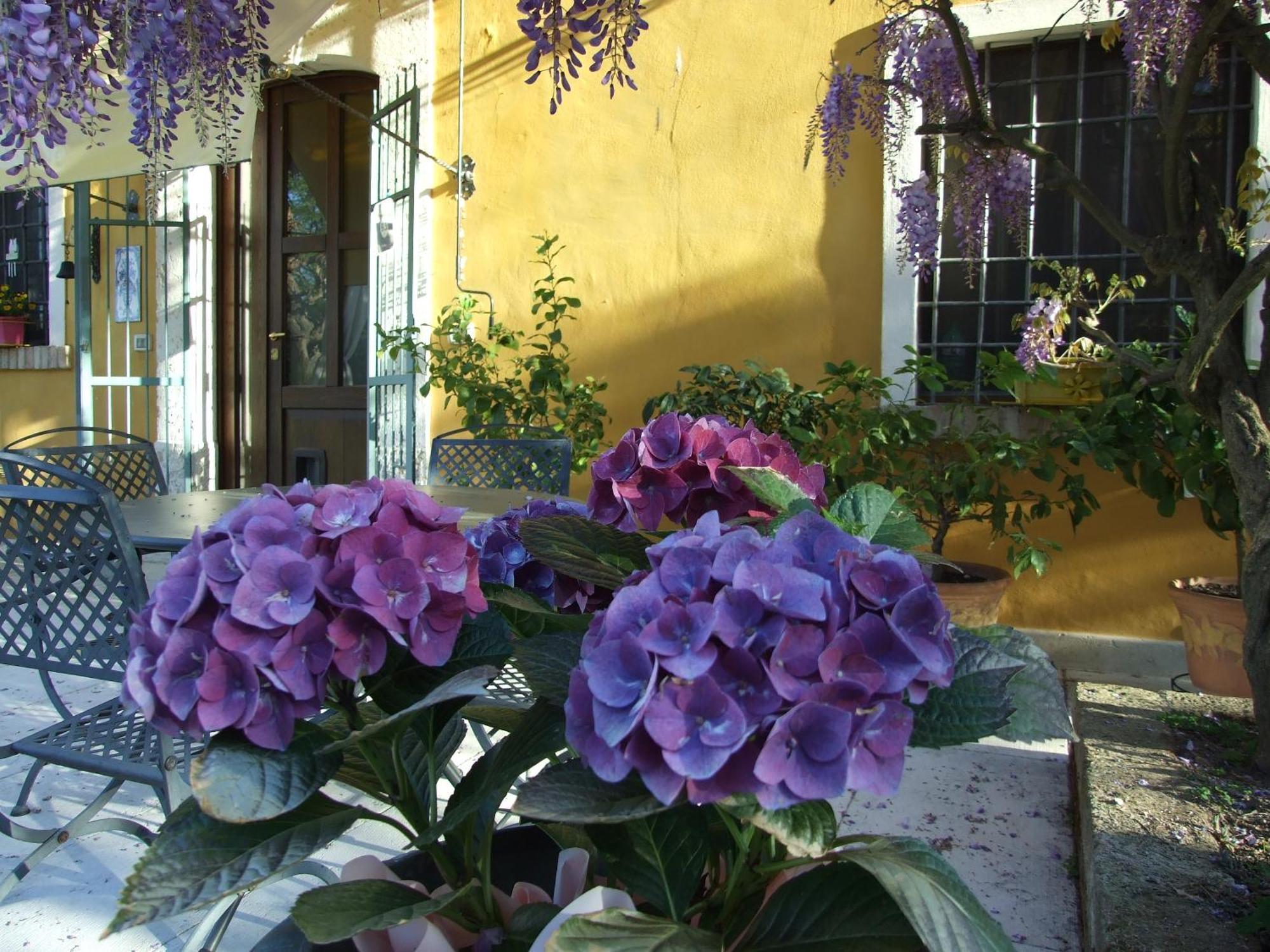 B&B Casacasina Monzambano Exteriér fotografie