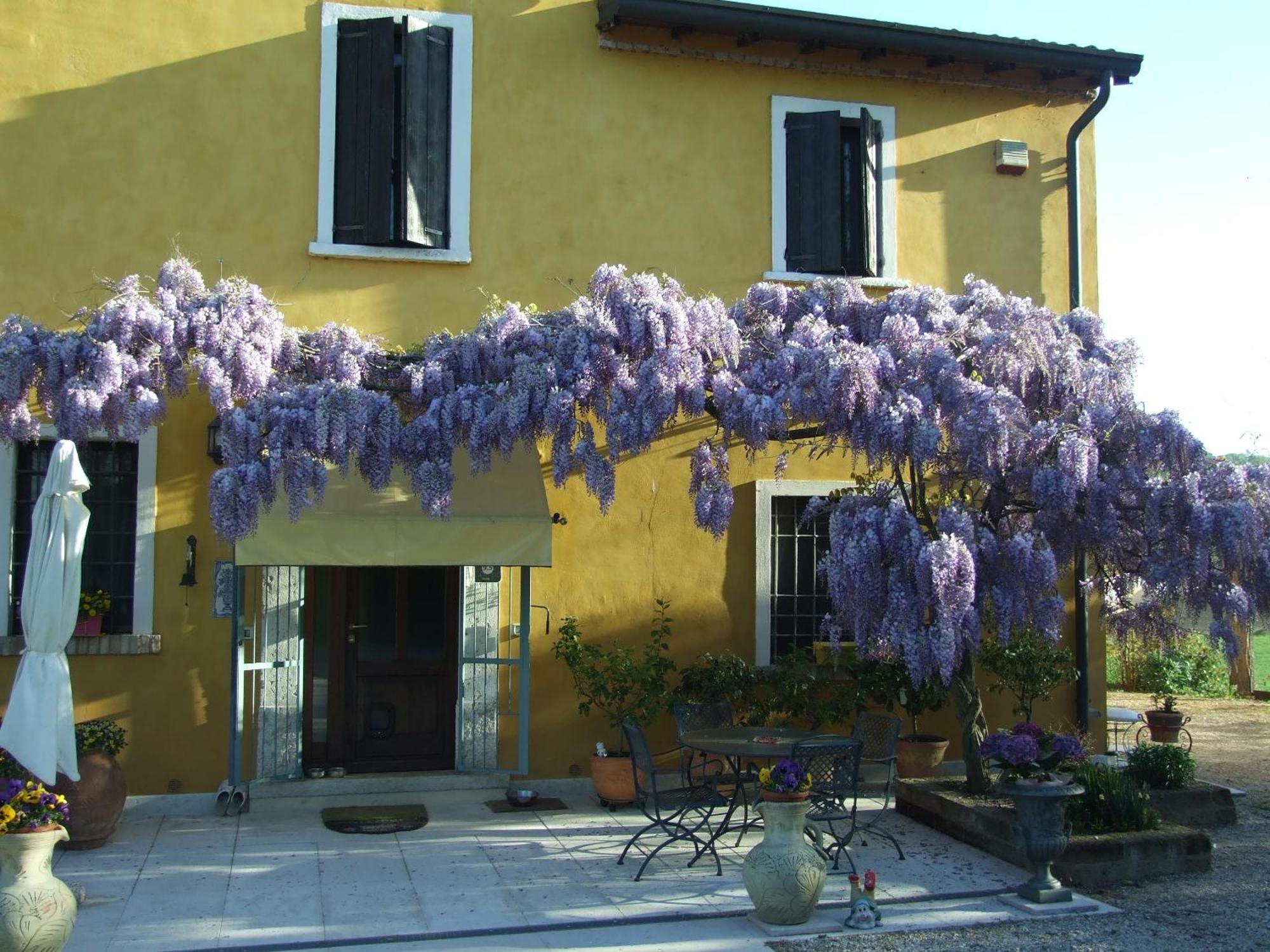 B&B Casacasina Monzambano Exteriér fotografie
